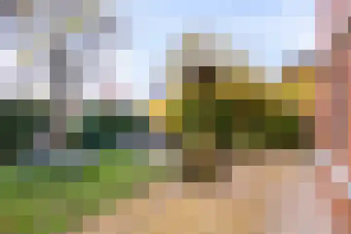 Fruitweg 38 Almere thumbnail 47