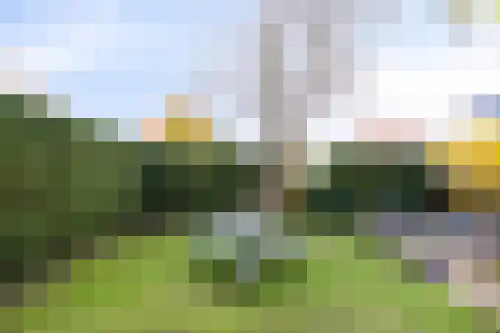 Fruitweg 38 Almere thumbnail 48