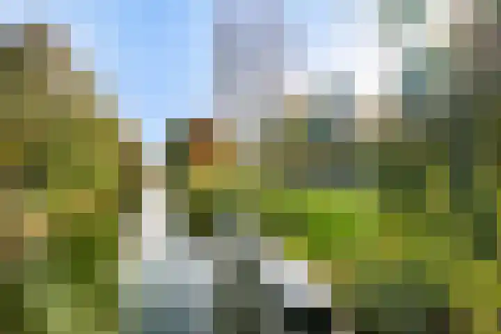 Fruitweg 38 Almere thumbnail 67