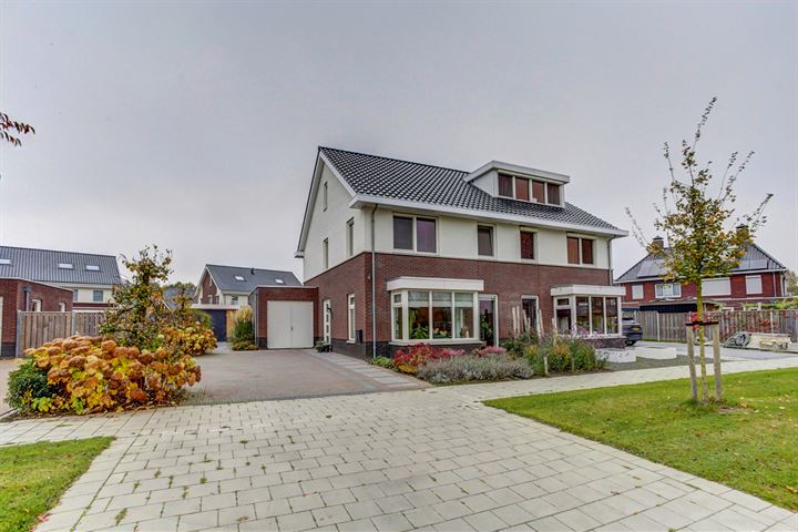 Fuchsia 5 in Ens foto