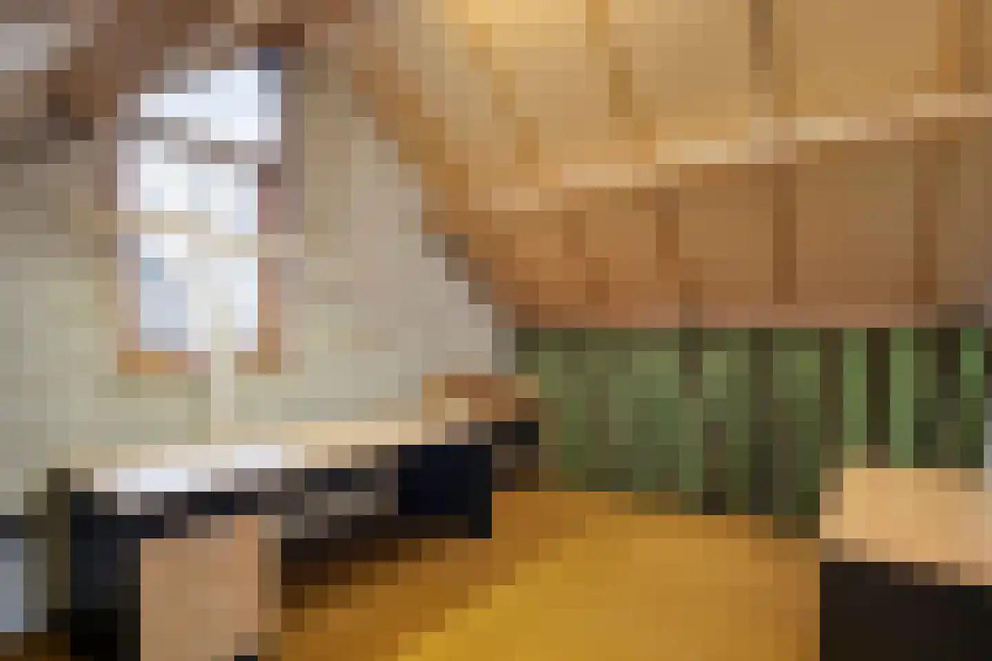 Fuchsiastraat 2 Heerde thumbnail 24
