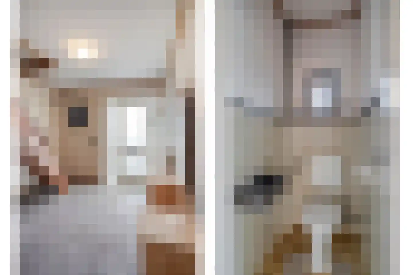 Fuchsiastraat 2 Heerde thumbnail 5