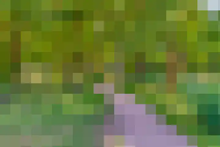 Fuga 12 Oss thumbnail 27