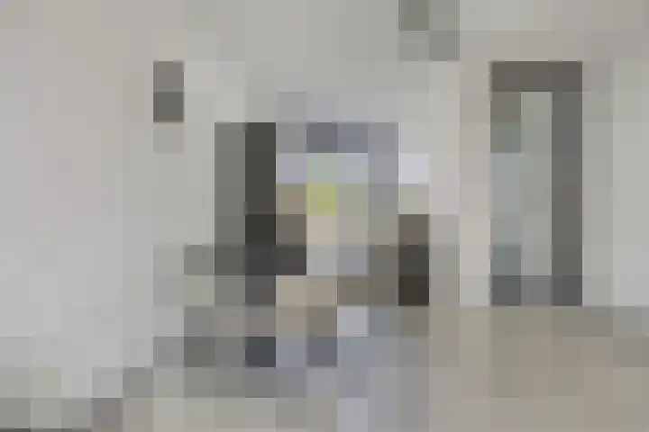 Fuga 12 Oss thumbnail 7