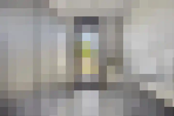 Fuga 12 Oss thumbnail 9