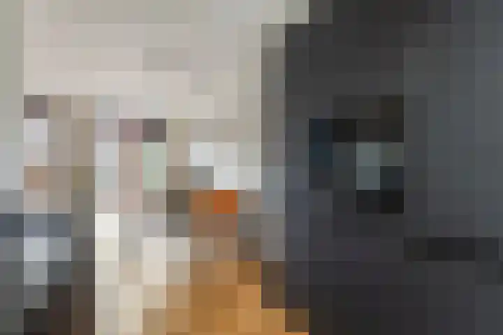Fuga 26 Oss thumbnail 17