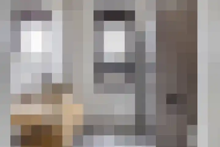 Fuga 26 Oss thumbnail 21