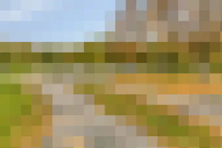 Fuga 26 Oss thumbnail 29