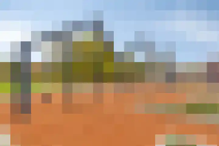 Fuga 26 Oss thumbnail 30