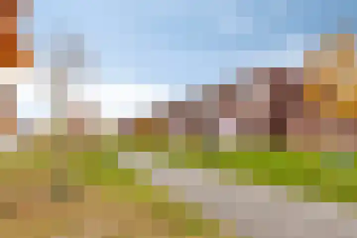 Fuga 26 Oss thumbnail 31