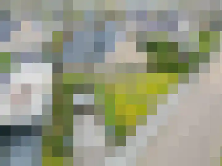 Fûgelkamp 11 Harkema thumbnail 13