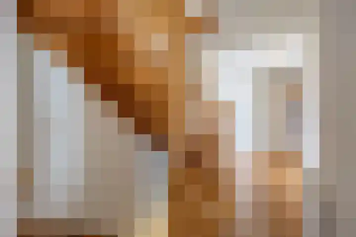 Fûgelkamp 11 Harkema thumbnail 21