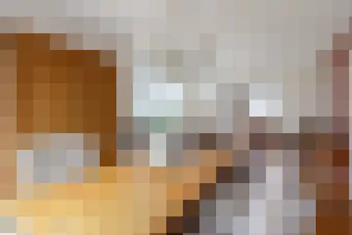Fûgelkamp 11 Harkema thumbnail 29