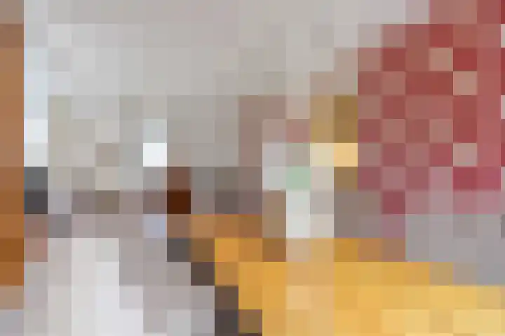 Fûgelkamp 11 Harkema thumbnail 30