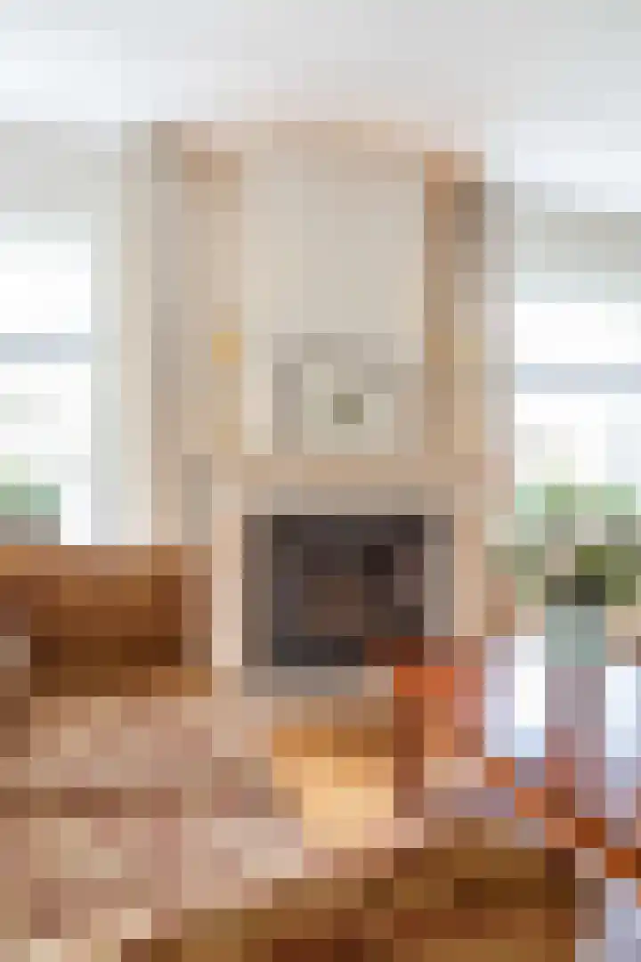 Fûgelkamp 11 Harkema thumbnail 37