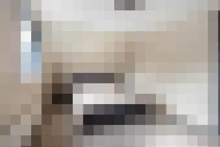 Fûgelkamp 11 Harkema thumbnail 55