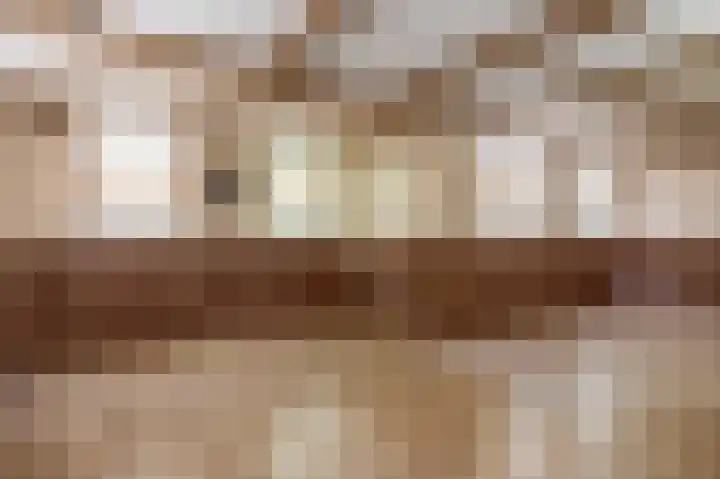 Fûgelkamp 11 Harkema thumbnail 65