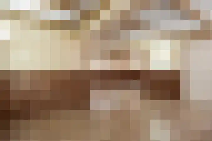 Fûgelkamp 11 Harkema thumbnail 66