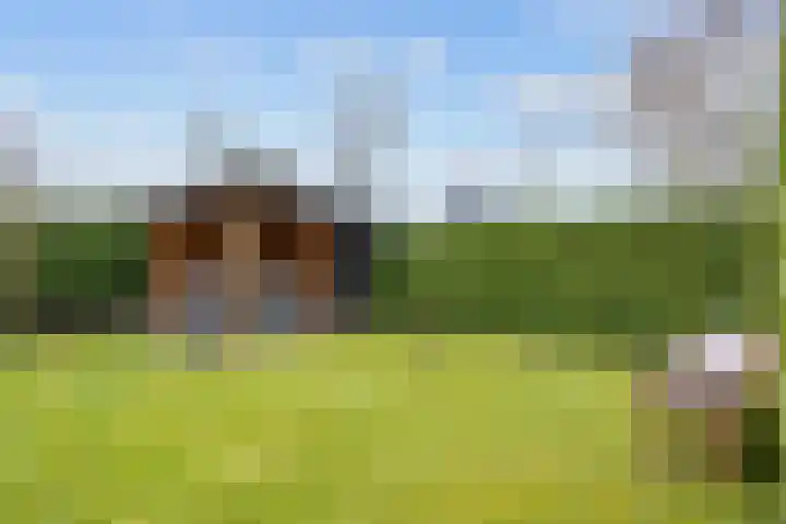 Fûgelkamp 11 Harkema thumbnail 73
