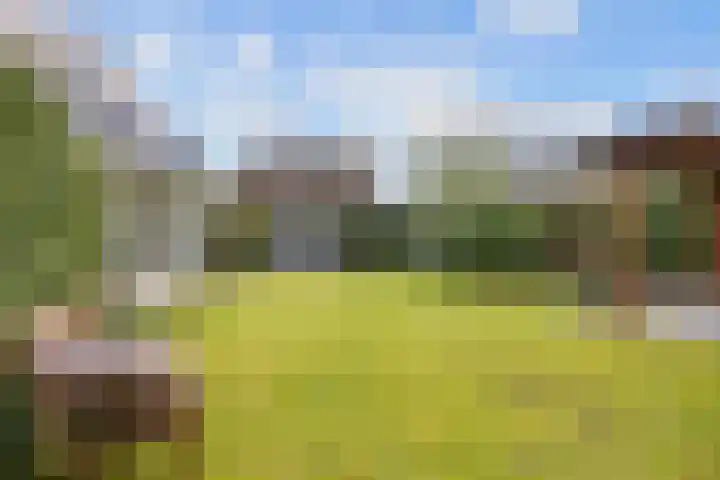Fûgelkamp 11 Harkema thumbnail 74