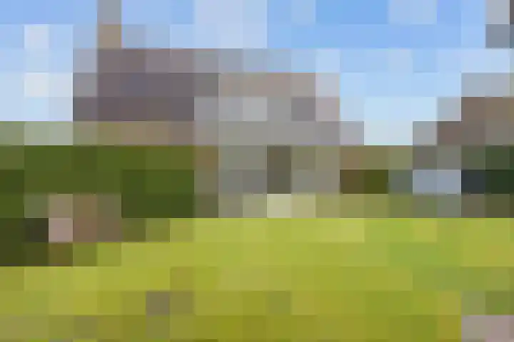 Fûgelkamp 11 Harkema thumbnail 75