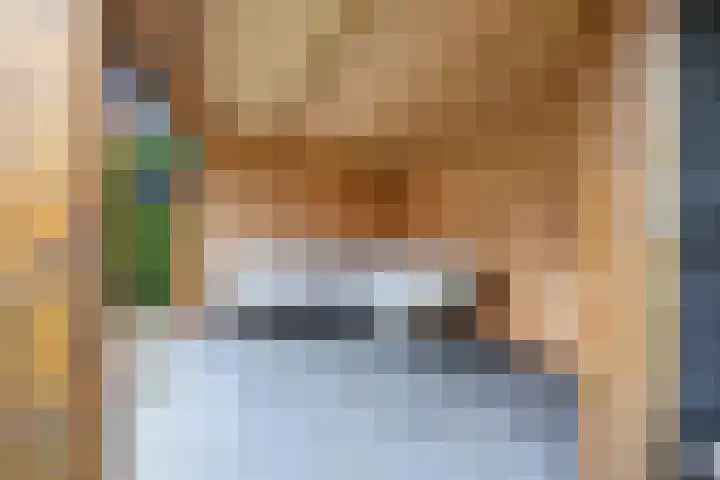 Fûgelkamp 11 Harkema thumbnail 77