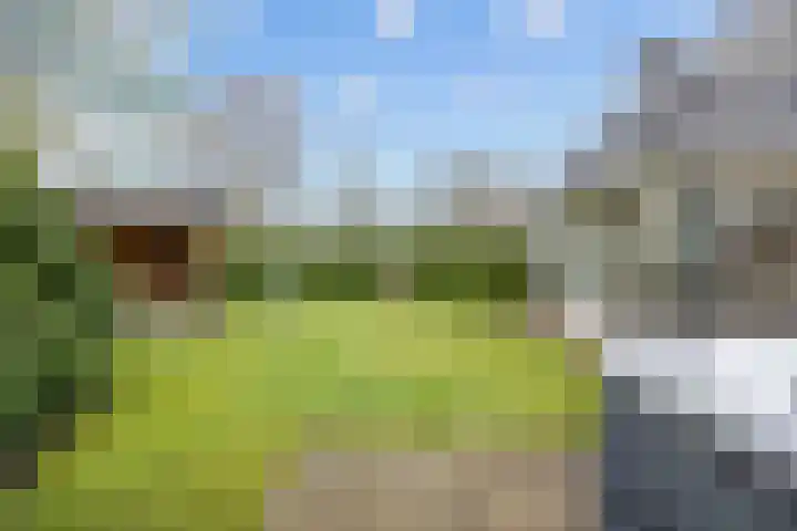 Fûgelkamp 11 Harkema thumbnail 81
