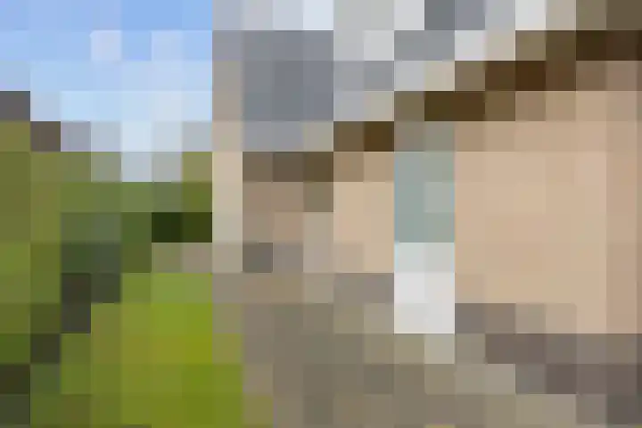 Fûgelkamp 11 Harkema thumbnail 84