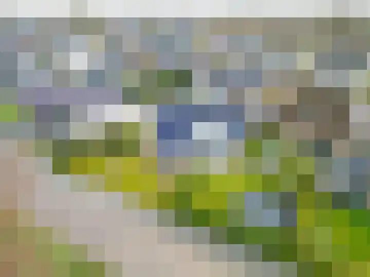 Fûgelkamp 11 Harkema thumbnail 90