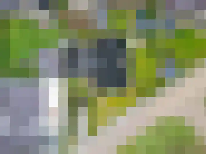 Fûgelkamp 11 Harkema thumbnail 93