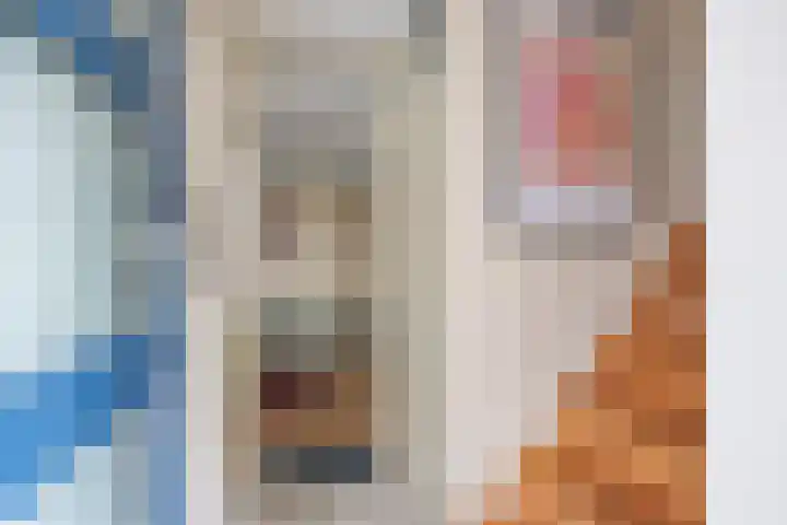 Fûgelleane 6 Bolsward thumbnail 16