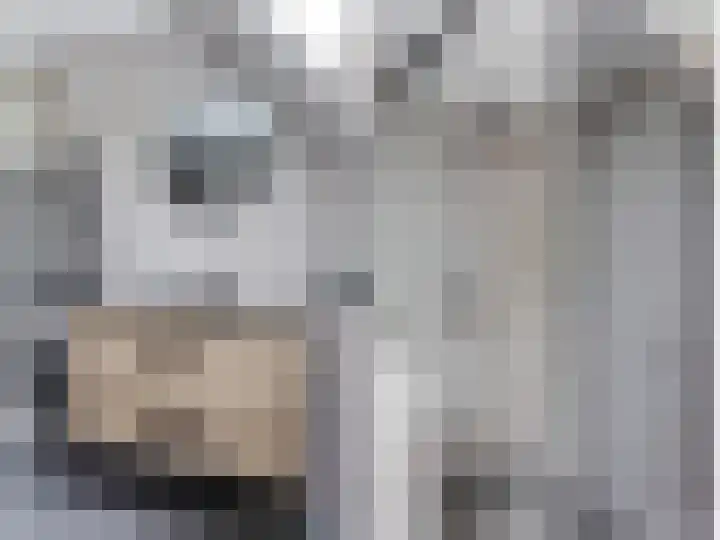 Fûgelleane 6 Bolsward thumbnail 25