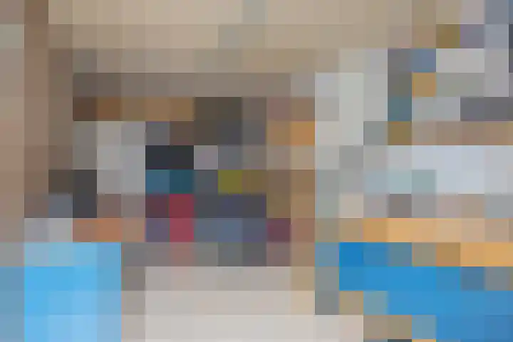 Fûgelleane 6 Bolsward thumbnail 28