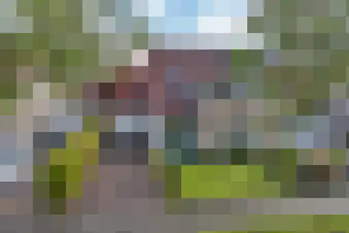 Fûgelleane 6 Bolsward thumbnail 38