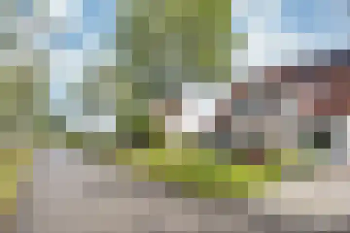 Fûgelleane 6 Bolsward thumbnail 39