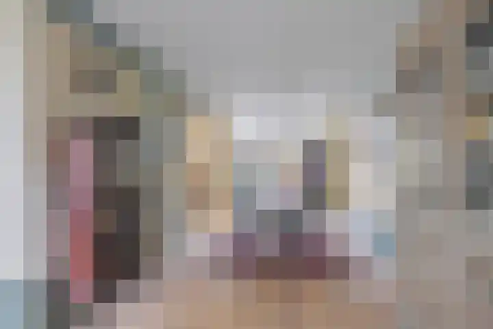 Fûgelleane 6 Bolsward thumbnail 6
