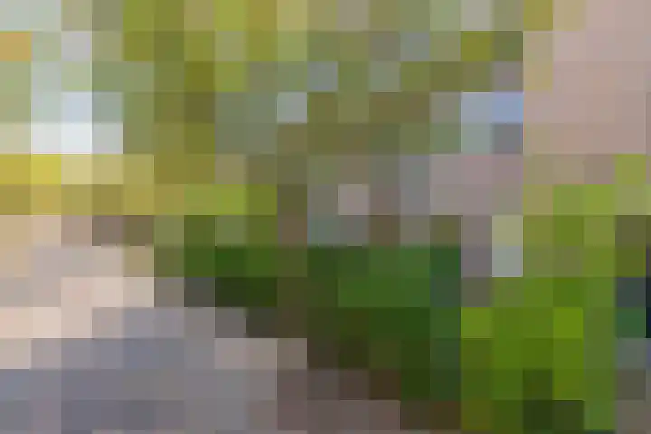 Fuikhoren 43 Noordwijk thumbnail 4
