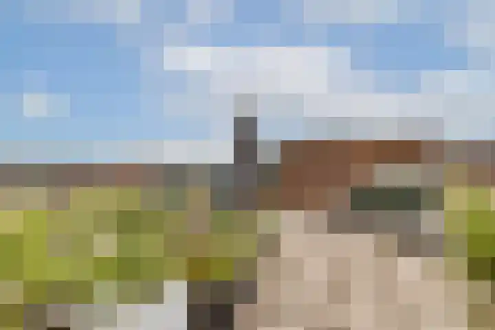 Funenpark 195 Amsterdam thumbnail 20