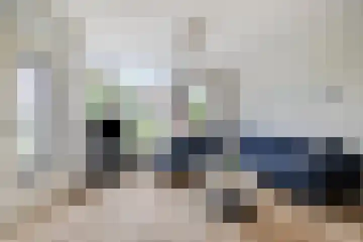 Futenweide 36 Houten thumbnail 4