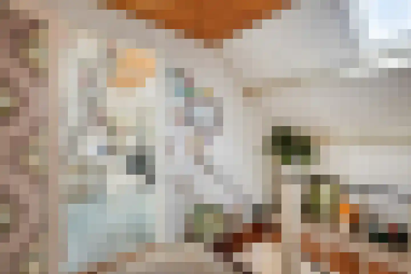 Fuut 12 Schagen thumbnail 35