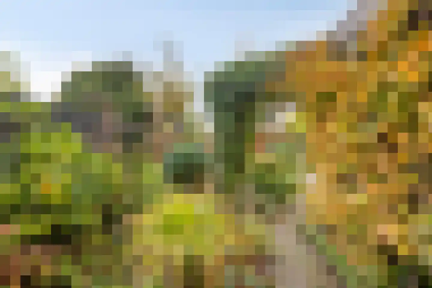 Fuut 12 Schagen thumbnail 38
