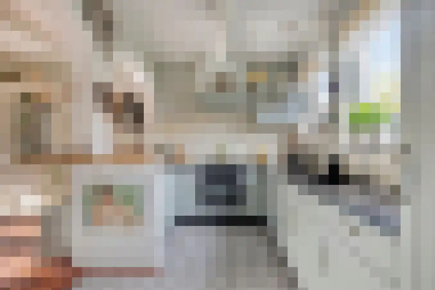 Fuut 12 Schagen thumbnail 4