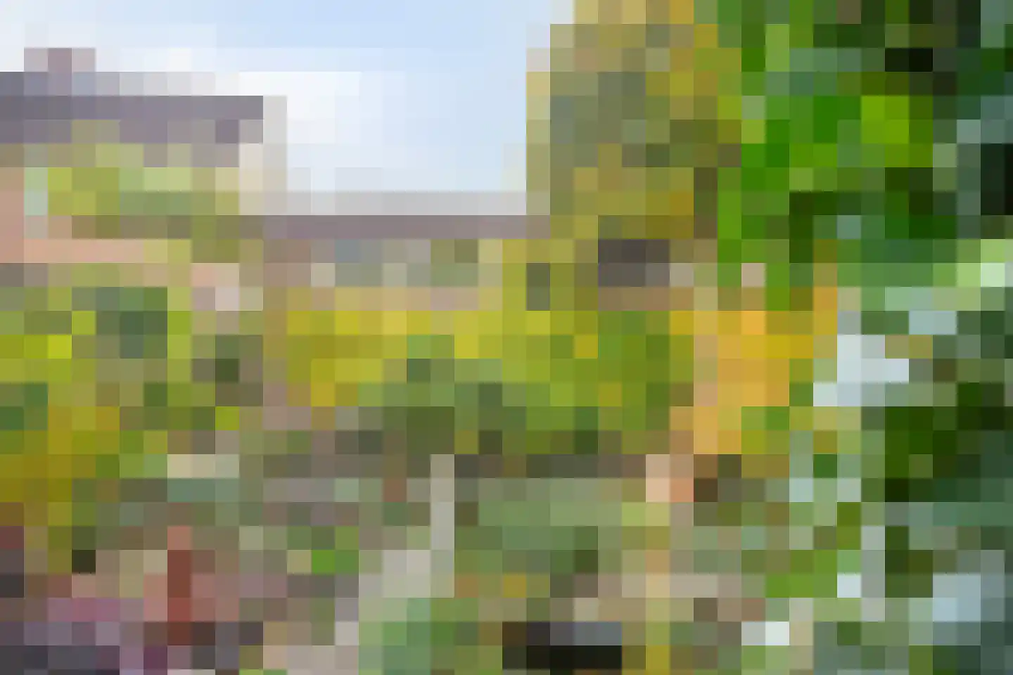 Fuut 12 Schagen thumbnail 42