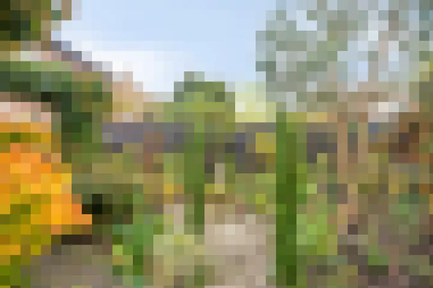 Fuut 12 Schagen thumbnail 43