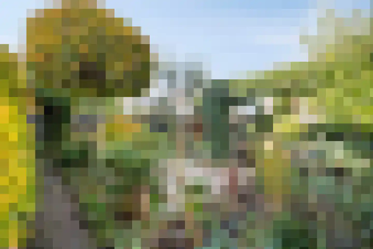 Fuut 12 Schagen thumbnail 44