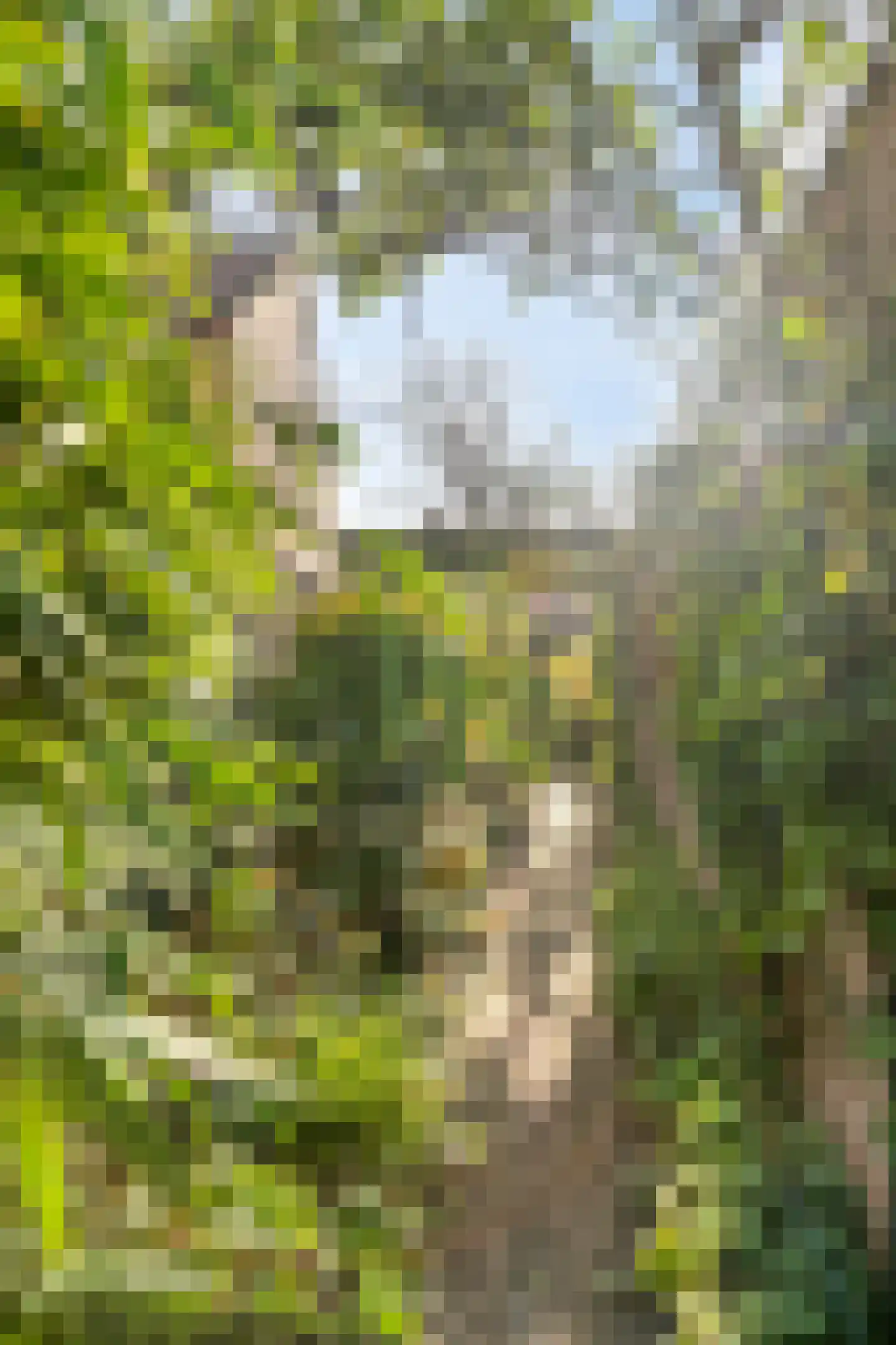 Fuut 12 Schagen thumbnail 45