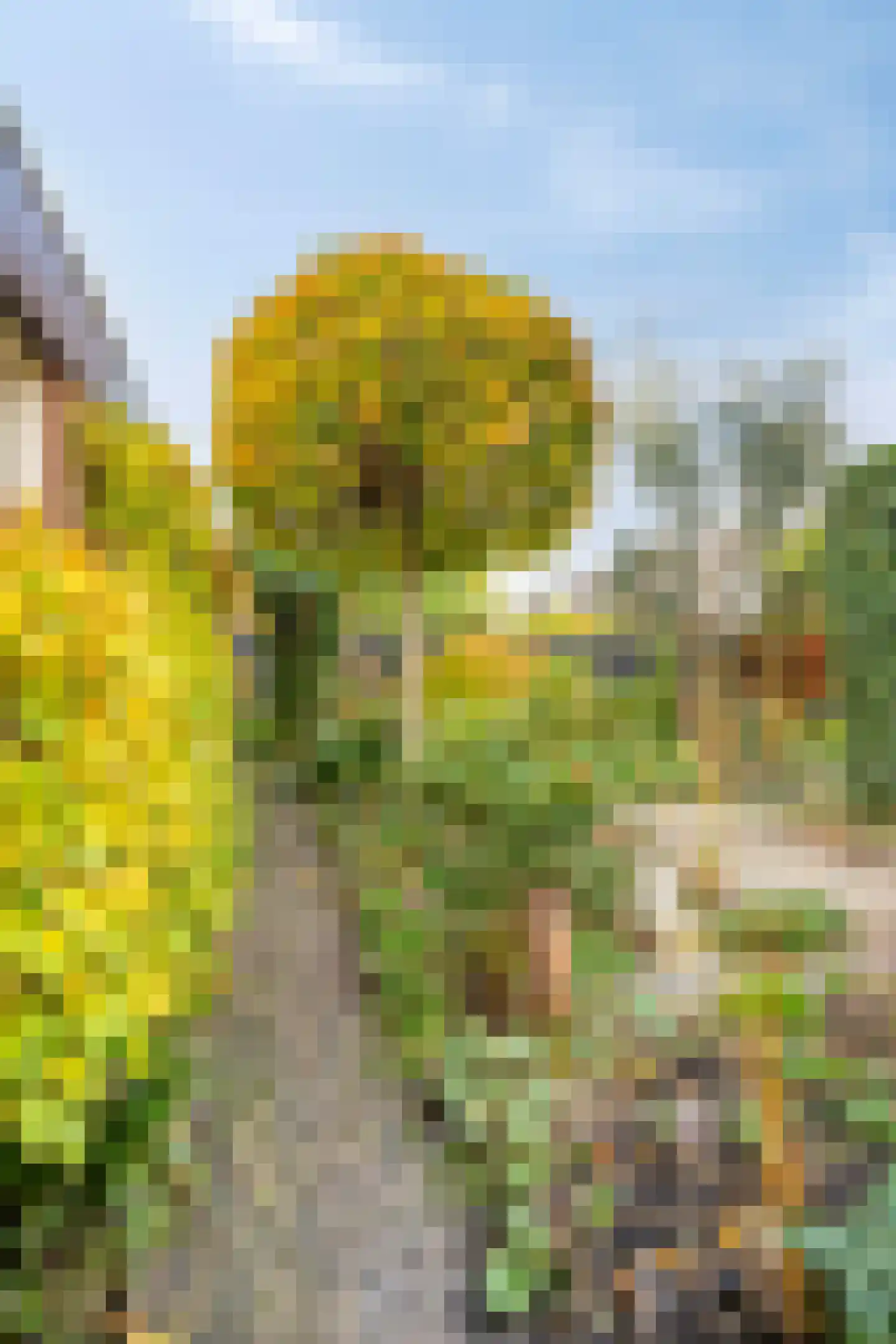 Fuut 12 Schagen thumbnail 46