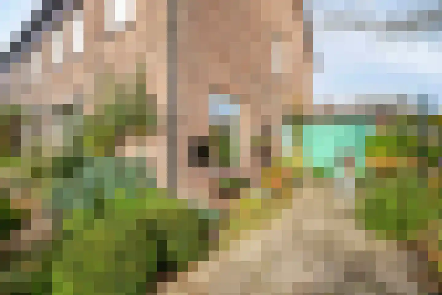 Fuut 12 Schagen thumbnail 7