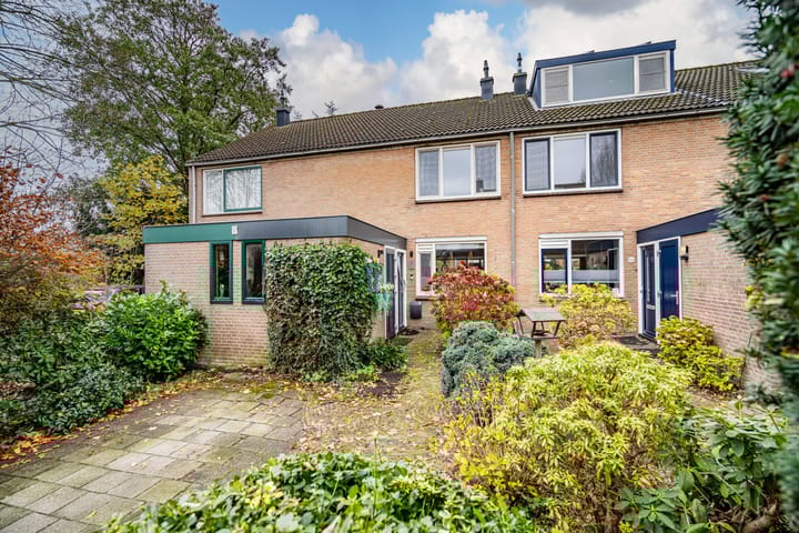 Fuut 56 in Zoeterwoude foto