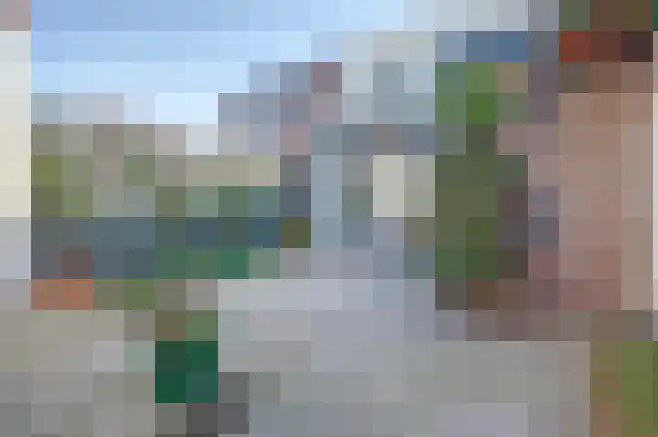 Fuut 56 Zoeterwoude